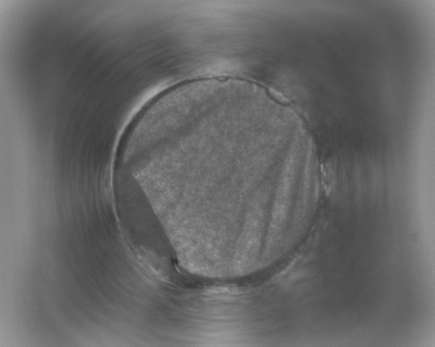 X0000065960196200603241856