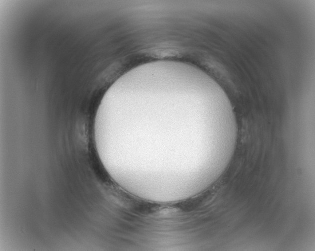 X0000065960210200603241856
