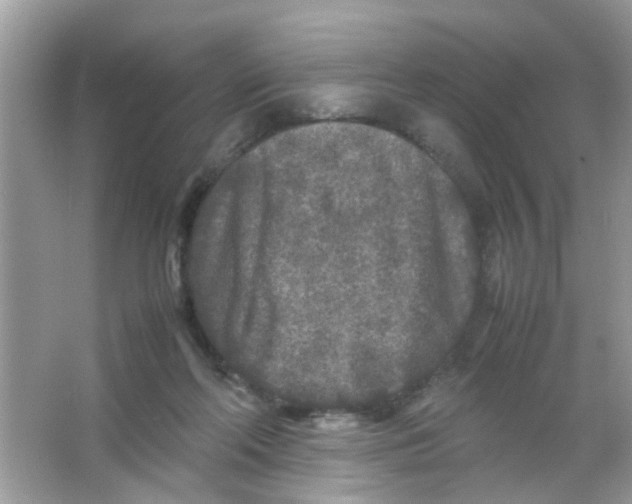 X0000065960214200603241855