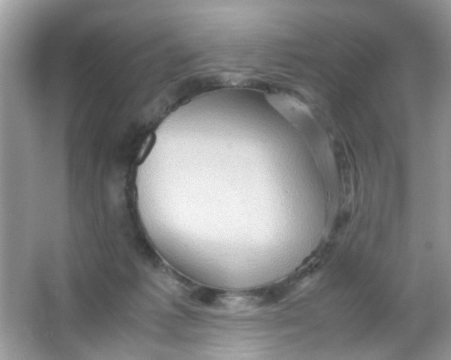X0000065960221200603241855