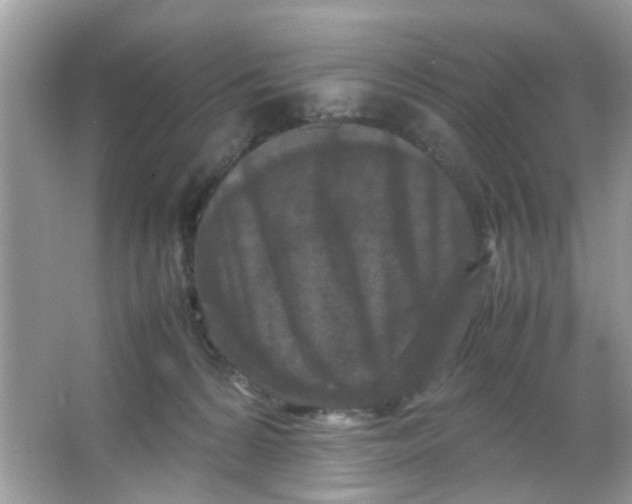 X0000065960224200603241855