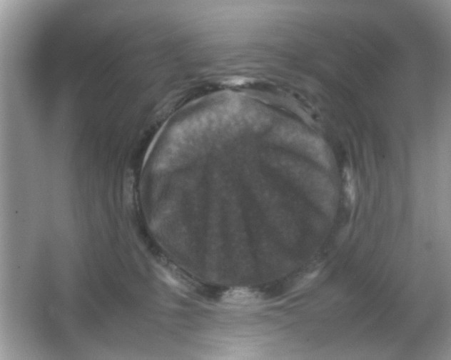 X0000065960231200603241855