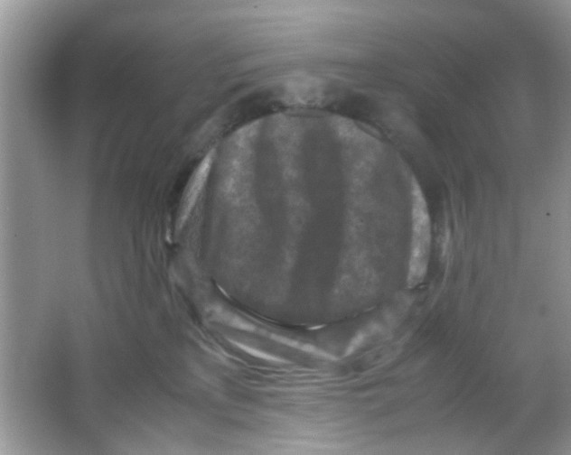 X0000065960233200603241855