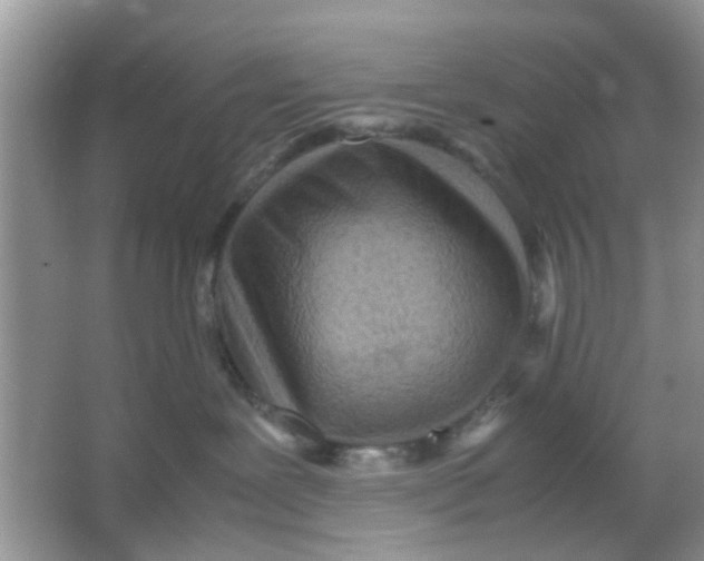 X0000065960239200603241855