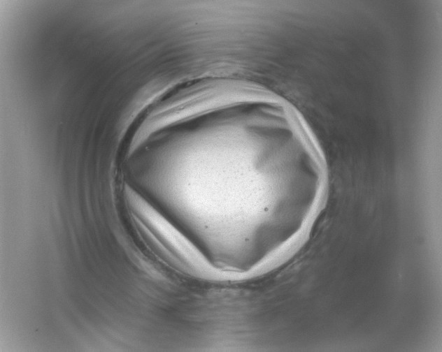 X0000065960242200603241854