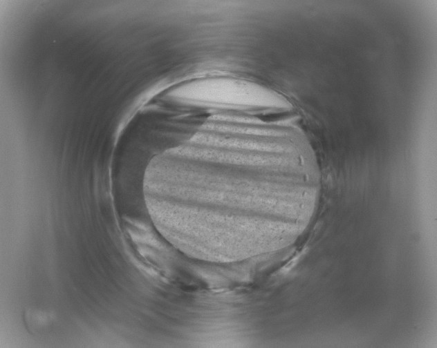 X0000065960244200603241854