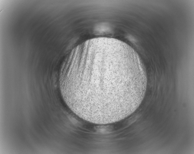 X0000065960273200603241855