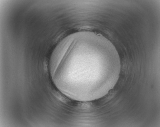 X0000065960282200603241855