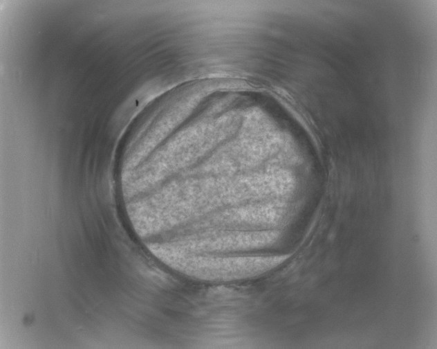 X0000065960290200603241854