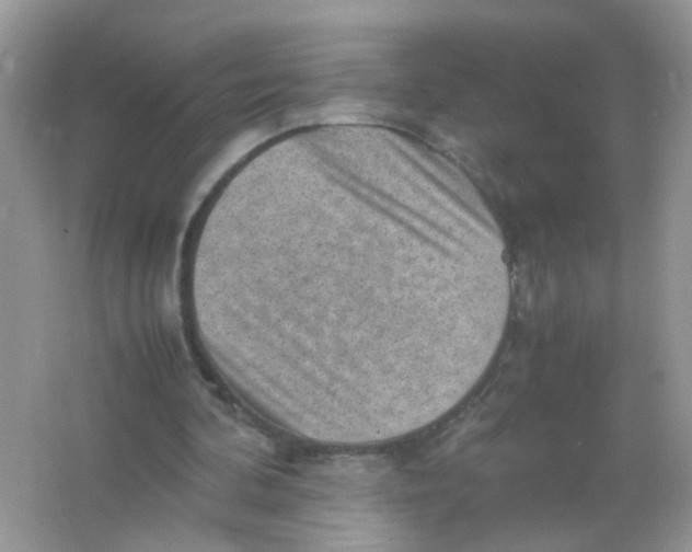 X0000065960292200603241854