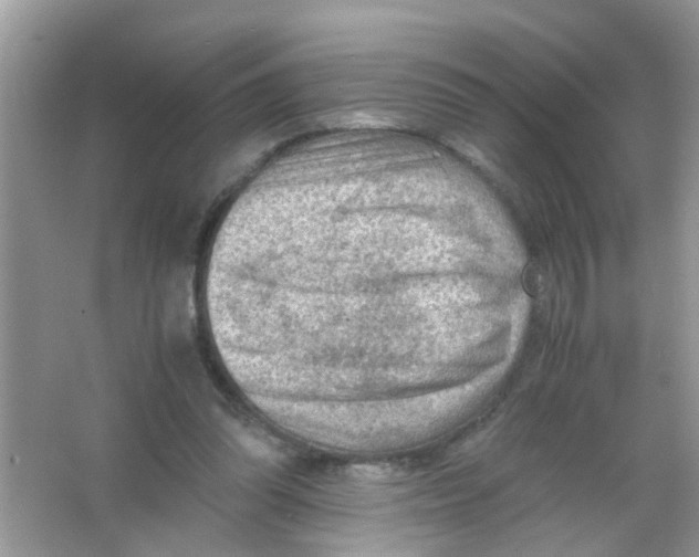 X0000065960302200603241854