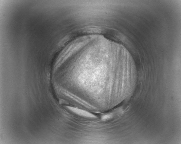 X0000065960309200603241854