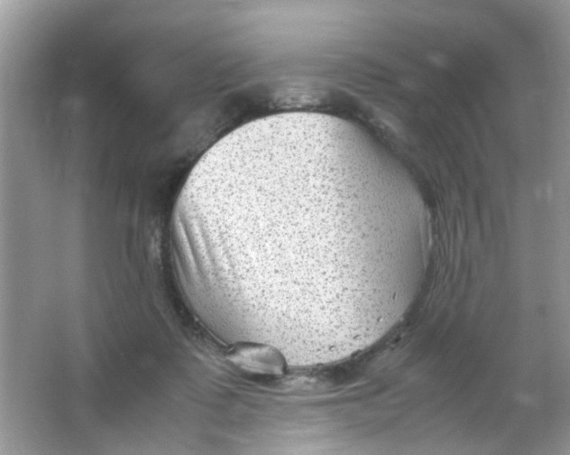 X0000065960315200603241854