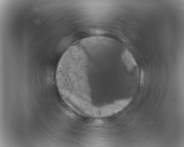 X0000065960330200603241853