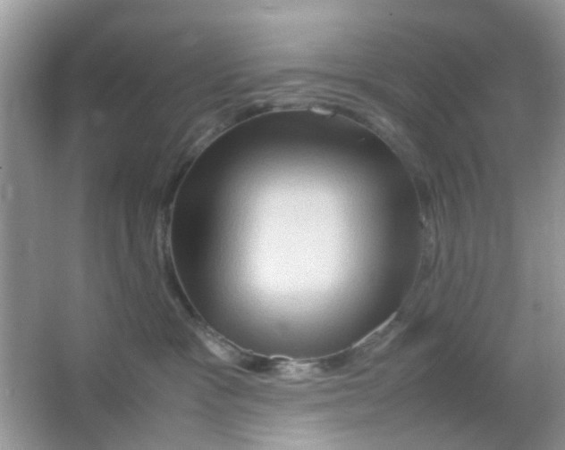 X0000065960333200603241853