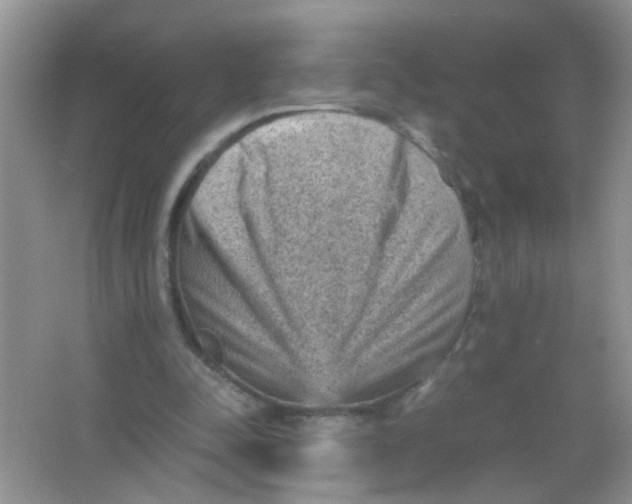 X0000065960342200603241853