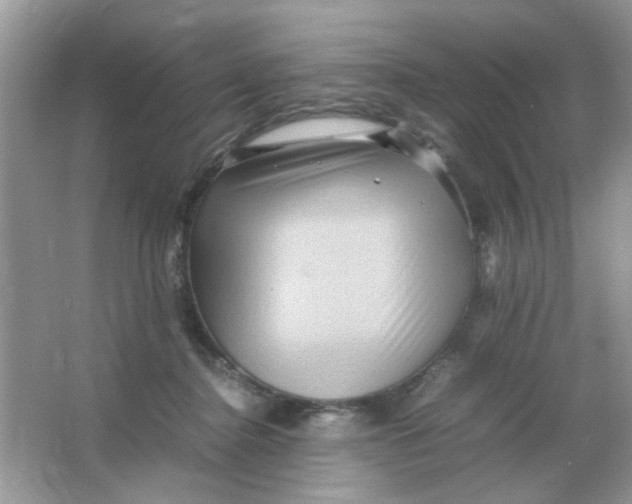 X0000065960364200603241853