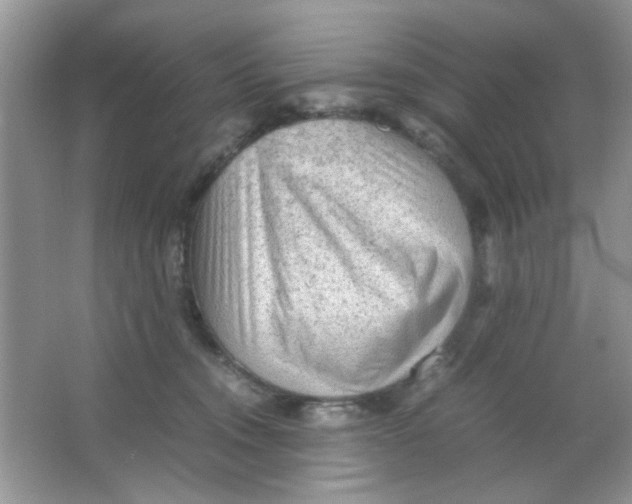 X0000065960372200603241853