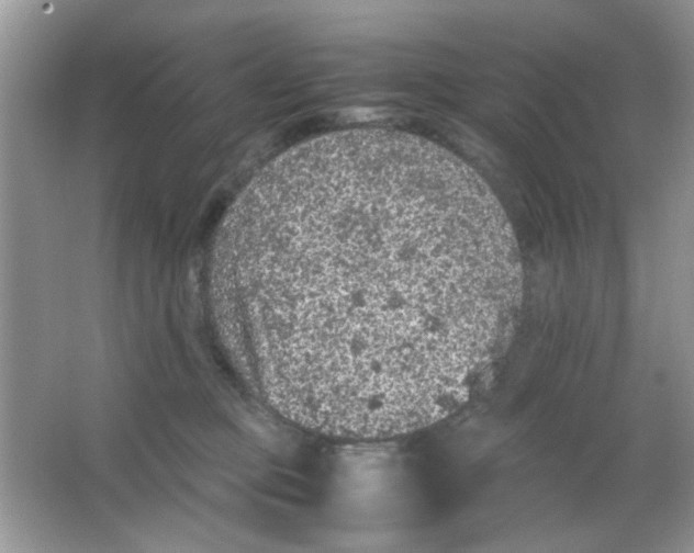 X0000065960373200603241853