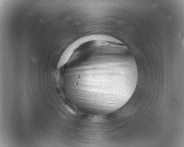 X0000065960384200603241853