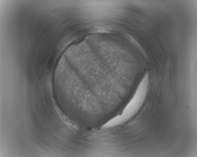 X0000065960386200603241853