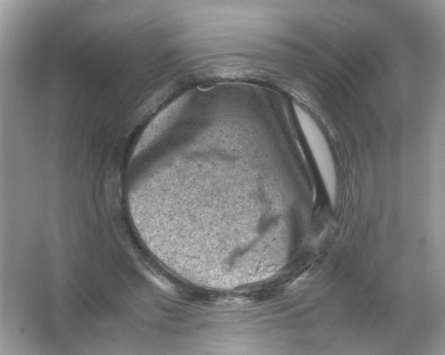 X0000065960397200603241852