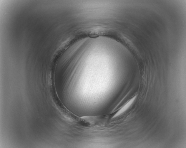 X0000065960403200603241852