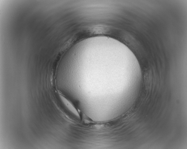 X0000065960406200603241852