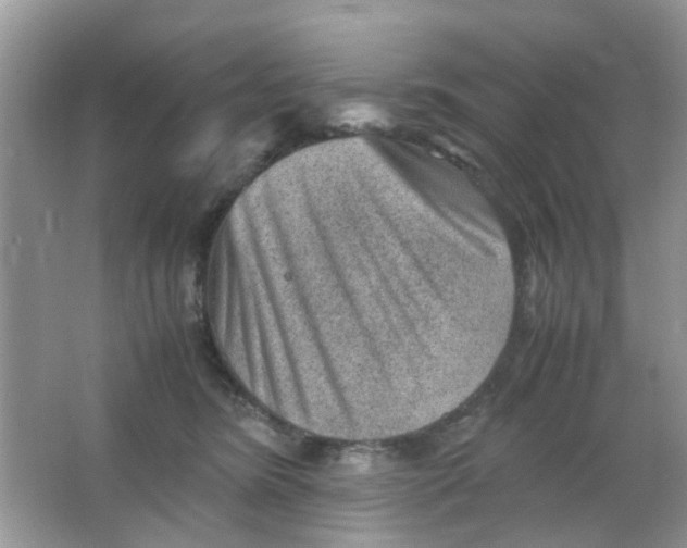 X0000065960420200603241852