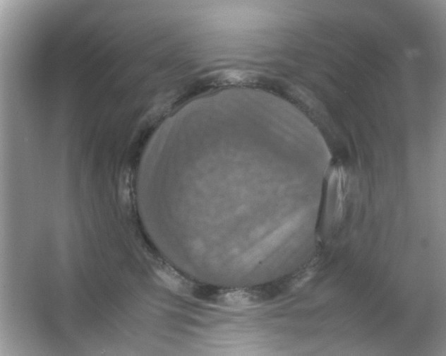 X0000065960423200603241852