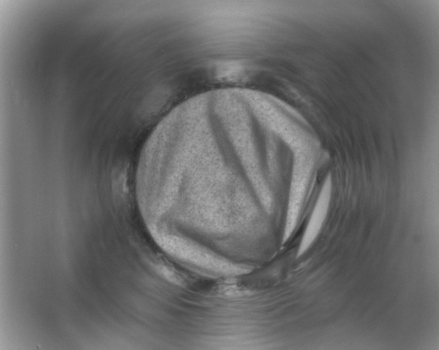 X0000065960424200603241852