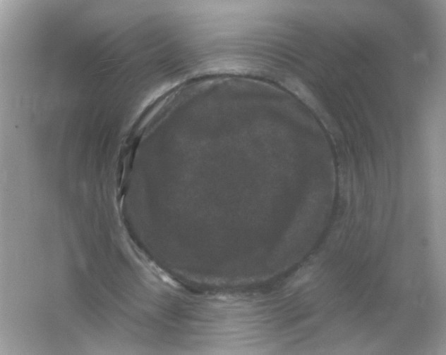 X0000065960434200603241851