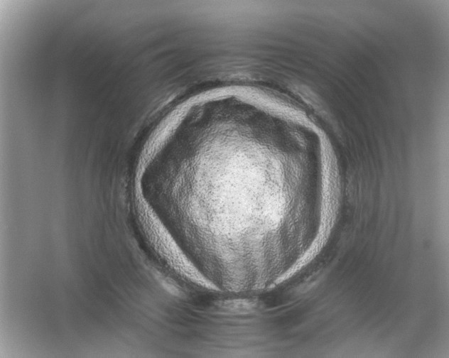 X0000065960449200603241851