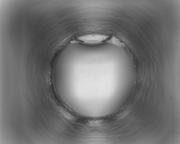 X0000065960450200603241851