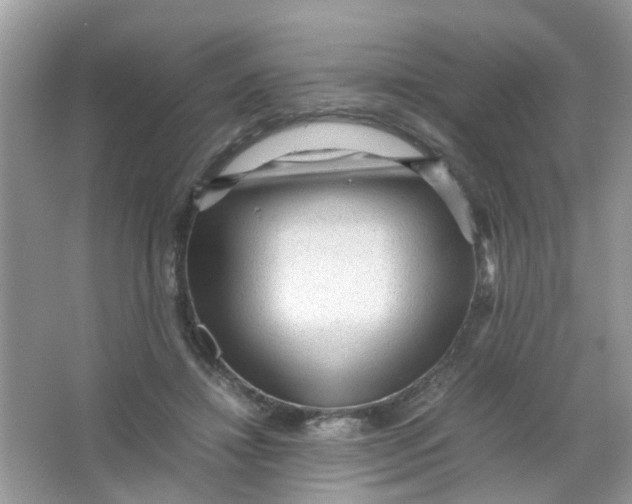 X0000065960452200603241851