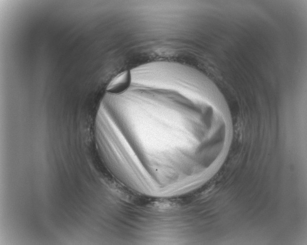 X0000065960464200603241851