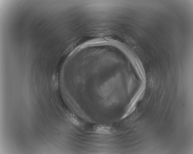 X0000065960471200603241852