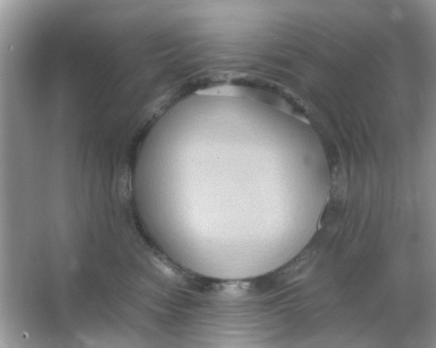 X0000065960474200603241852