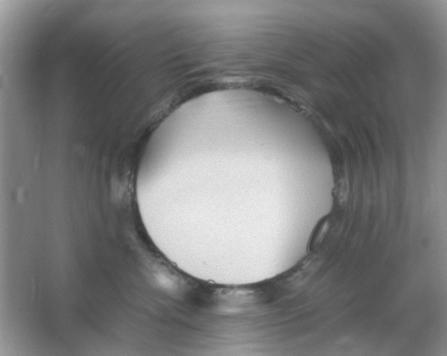 X0000065960476200603241852