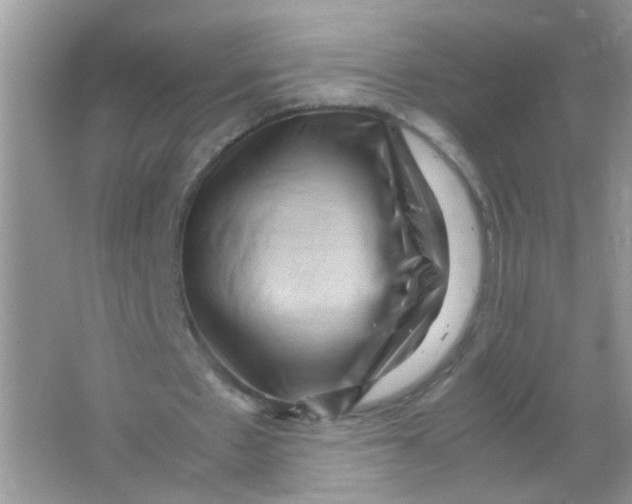 X0000065960481200603241851
