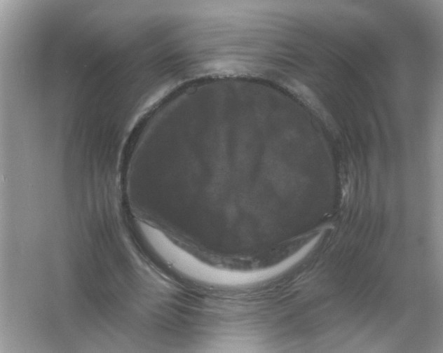 X0000065960488200603241851
