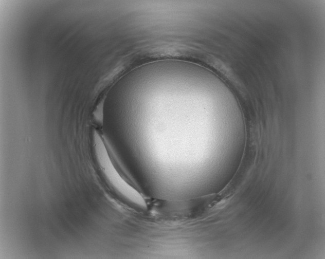 X0000065960489200603241851