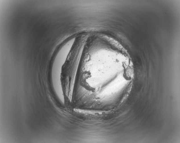 X0000065960491200603241851