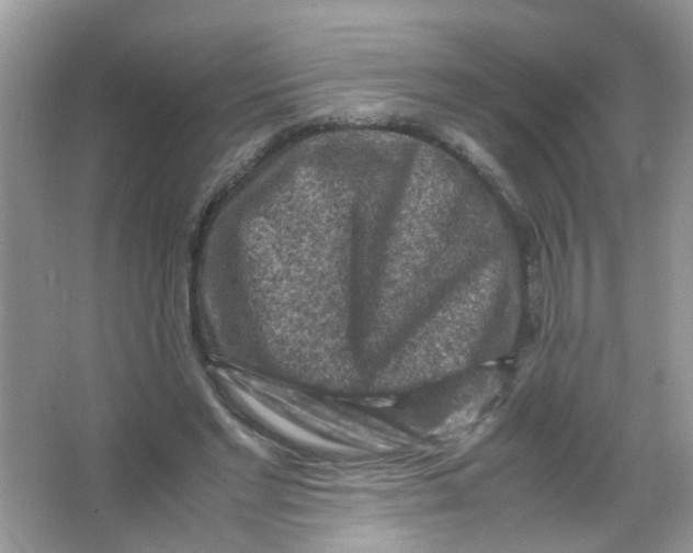 X0000065960493200603241851
