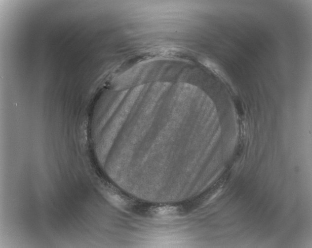 X0000065960501200603241851