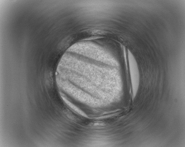 X0000065960506200603241851