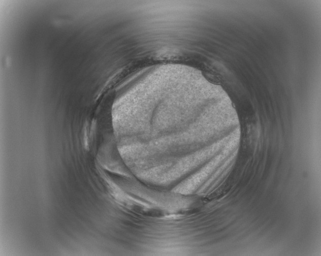 X0000065960508200603241850