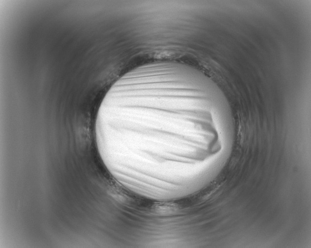 X0000065960510200603241850