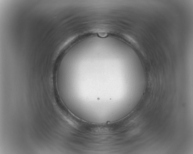 X0000065960535200603241849