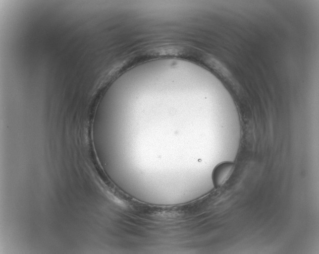 X0000065960537200603241849